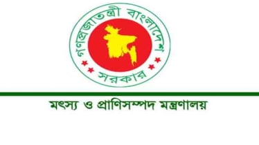ভারত থেকে গরু আমদানির অনুমতিপত্র ভুয়া: প্রাণিসম্পদ মন্ত্রণাল