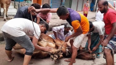 সারাদেশে দ্বিতীয় দিনের মতো উদযাপিত হচ্ছে ঈদুল আজহা