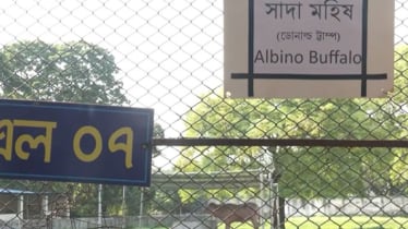 ‘ডোনাল্ড ট্রাম্প’ বানান ভুল লিখে চিড়িয়াখানা কর্তৃপক্ষ ভাইরাল