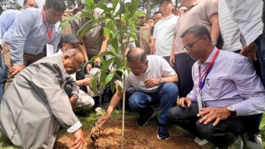 দেশব্যাপী ২৫ কোটি বৃক্ষরোপণ কর্মসূচির উদ্বোধন করেছেন প্রধানমন্ত্রী
