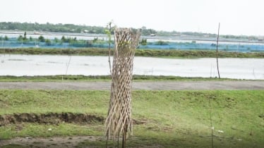 জলবায়ু মোকাবিলার প্রকল্পে অনিয়ম, প্রশ্নের মুখে এনজিওর কর্মসূ