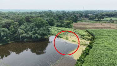 বিএসএফের নতুন চাল: পাটক্ষেতের আড়ালে পুশ-ইনের চেষ্টা
