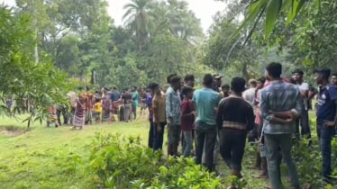 মেহেরপুর সীমান্তে ৭ জনকে পুশইনের চেষ্টা বিএসএফের