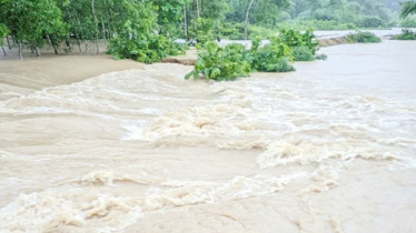 ৪৮ ঘণ্টার মধ্যে দেশের ১০ জেলায় বন্যার আভাস
