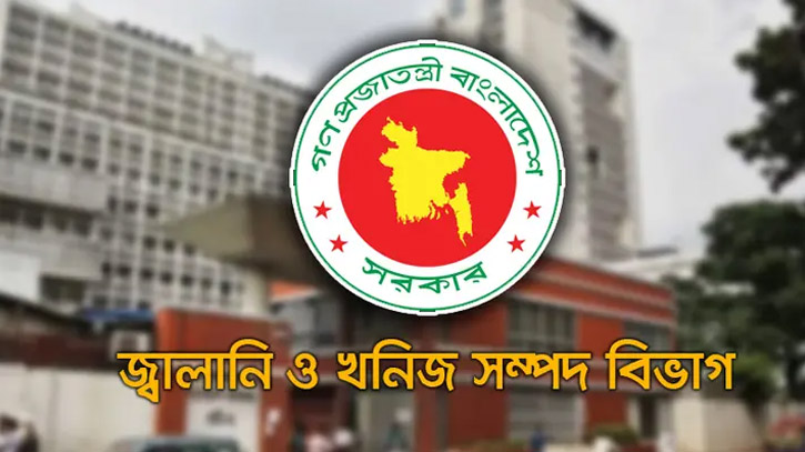 গ্যাস সরবরাহ বিঘ্নিত কেন, স্বাভাবিক হবে কবে? জানালো মন্ত্রণা