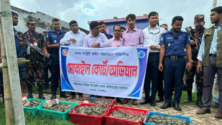 ১০০ কেজি জেলিপুশকৃত চিংড়ি জব্দ, ৩ ব্যবসায়ীকে জরিমানা...