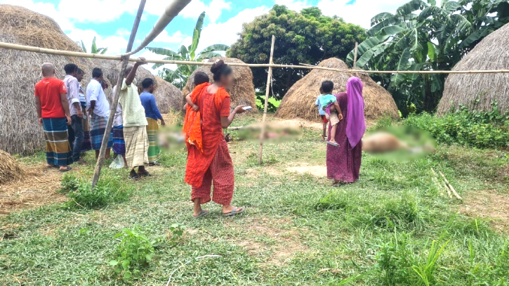 পরিত্যক্ত বাড়িতে ১০ ঘোড়া জবাই, মাংস নিয়ে পালালো দুর্বৃত্তরা!
