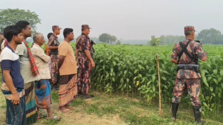 সীমান্তে পুশইন চেষ্টা অব্যাহত রেখেছে বিএসএফ, বারবার রুখে দিচ